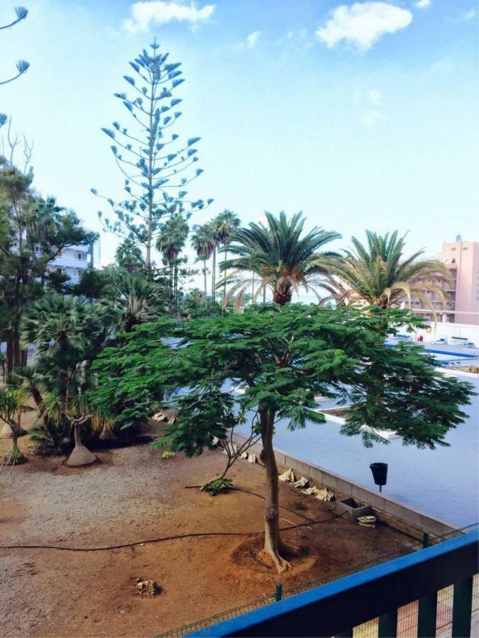 Enjoy The Sea And Pool In Playa De Las Americas Luaran gambar